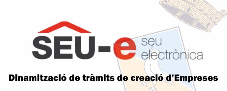 Seu-e dinamització