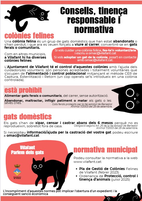 01112025 full info colonies gats ferals domestics normativa sancions.jpg