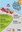 08 2016 cartell_8a_baixada_de_carretons_2016. (Copiar).jpg
