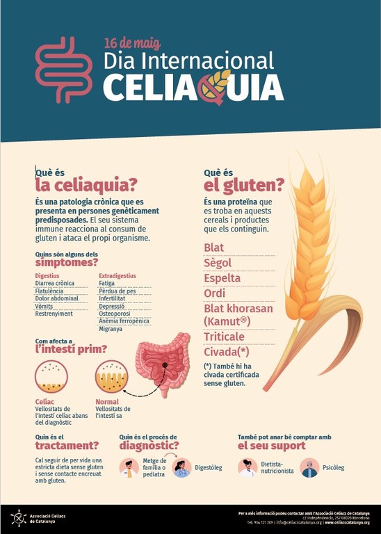 16052026 què és la celiaquia dia internacional 16 maig 05052026.jpg