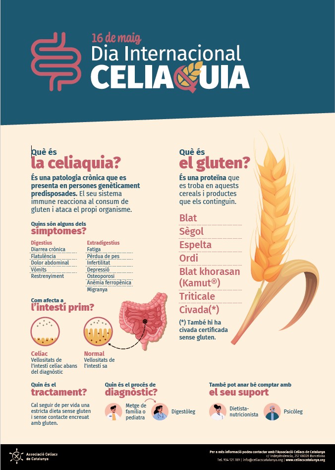 16052026 què és la celiaquia dia internacional 16 maig 05052026.jpg
