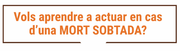 Taller per aprendre a fer servir el Desfibril·lador (DEA)