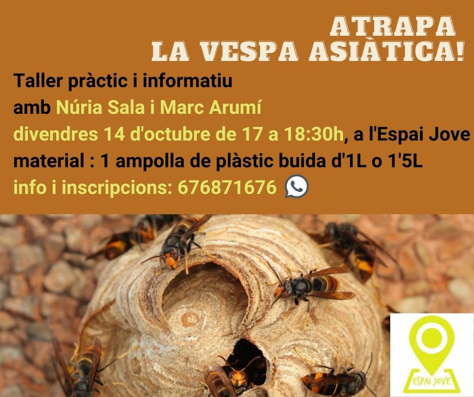 vespa cartell.jpg