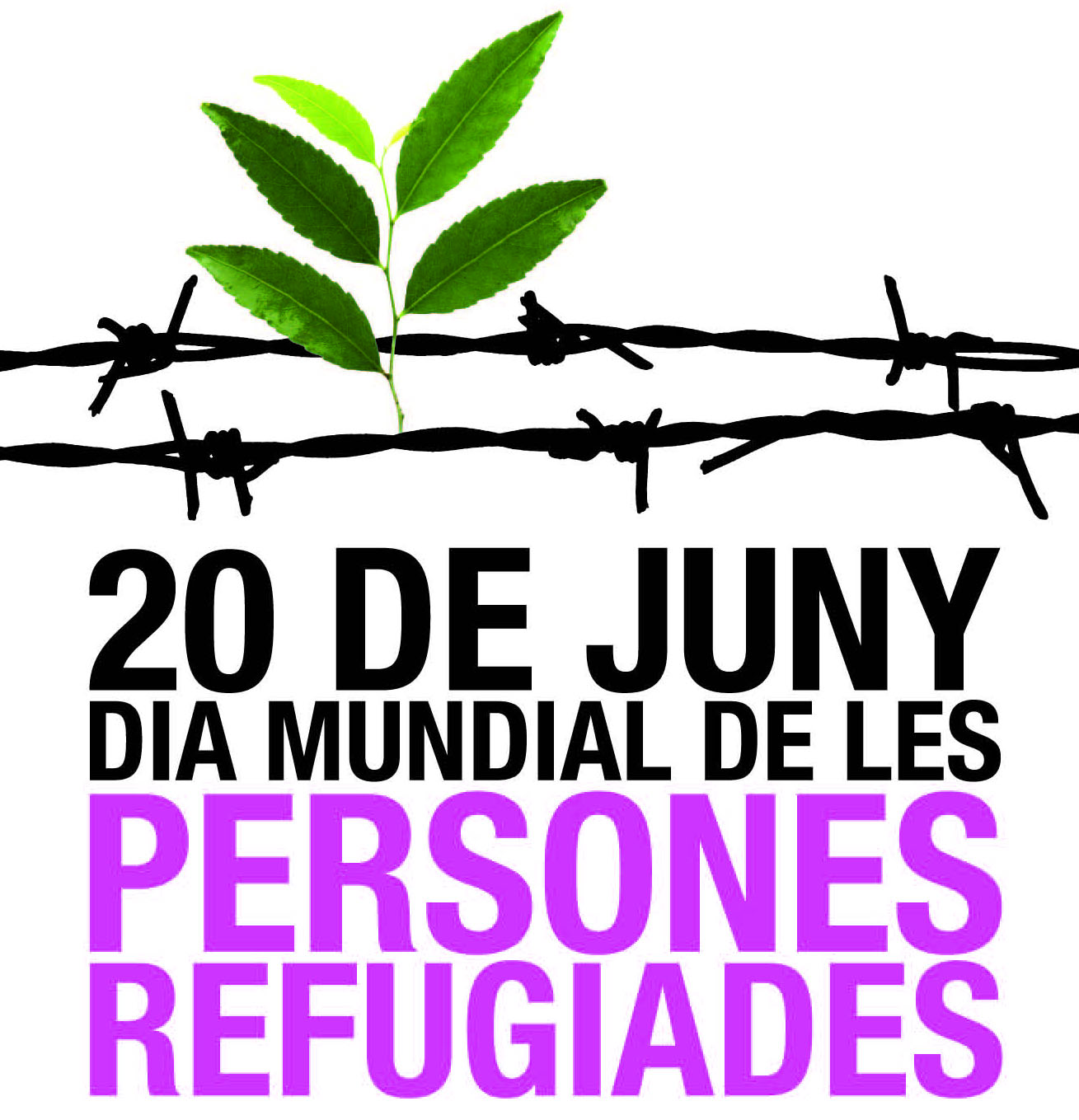 20 de juny dia mundial persones refugiades juny 2019.jpg