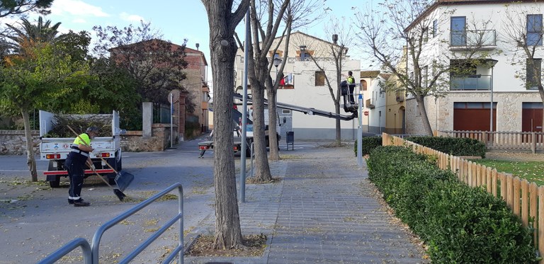 20191127_102332.jpg