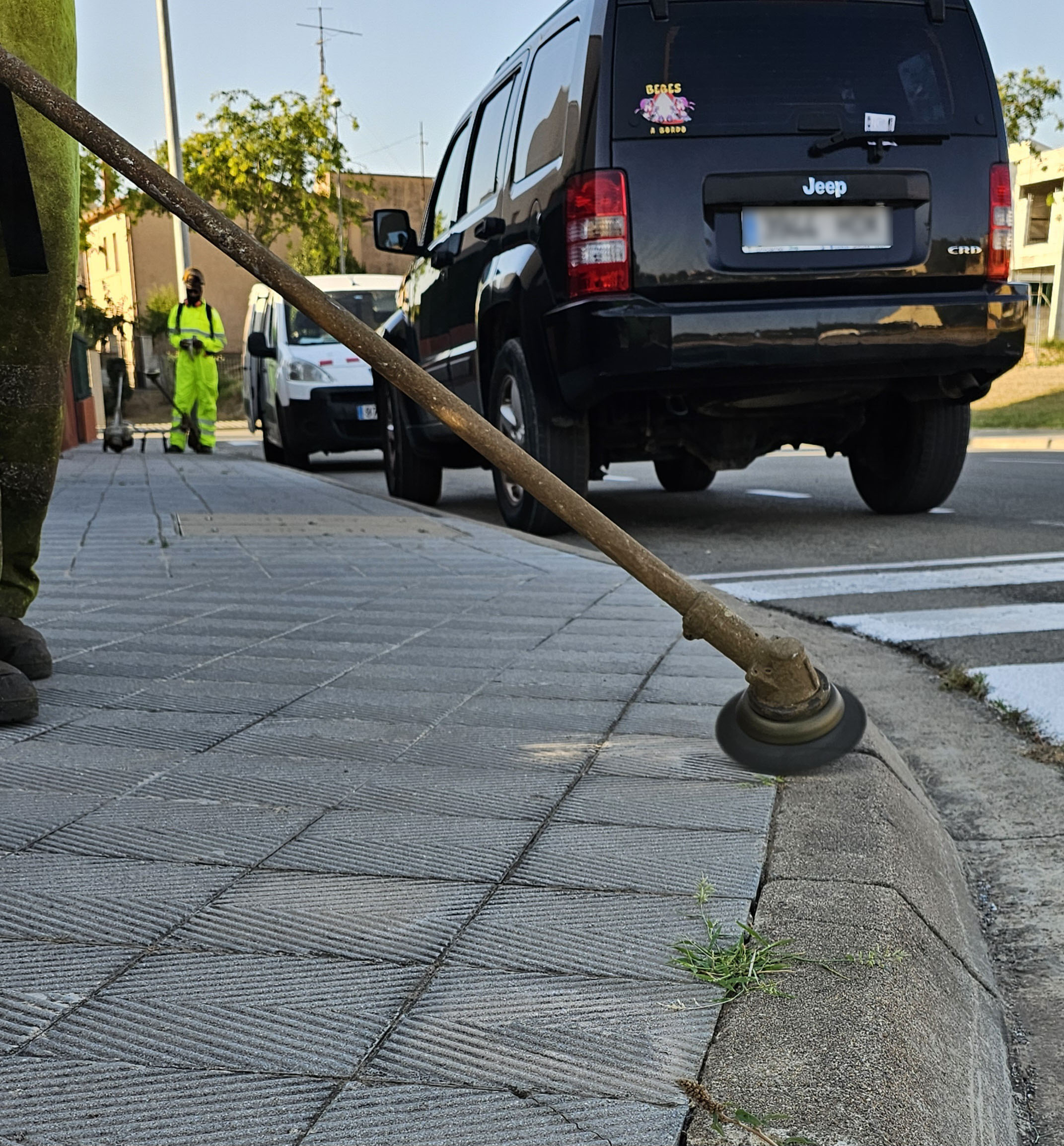 240724empresa males herbes.jpg