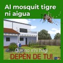 Al mosquit tigre ni una gota d'aigua