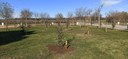 "Un naixement, un arbre" gener 2023