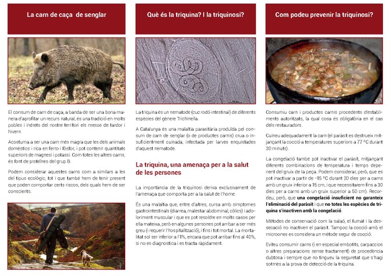 consells_seguretat_alimentaria_consum_carn_caça_senglar_2014_2.jpg