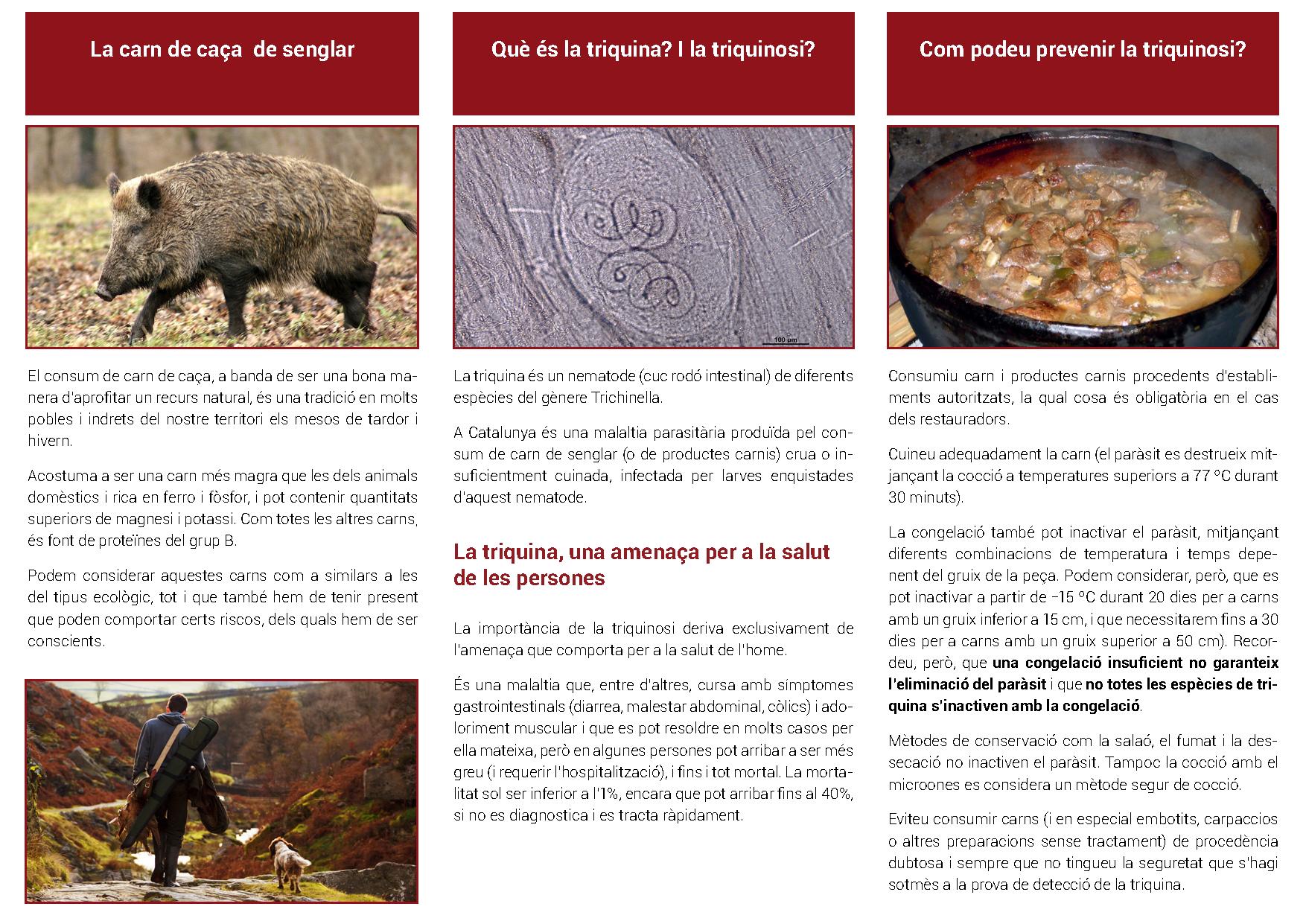 consells_seguretat_alimentaria_consum_carn_caça_senglar_2014_2.jpg