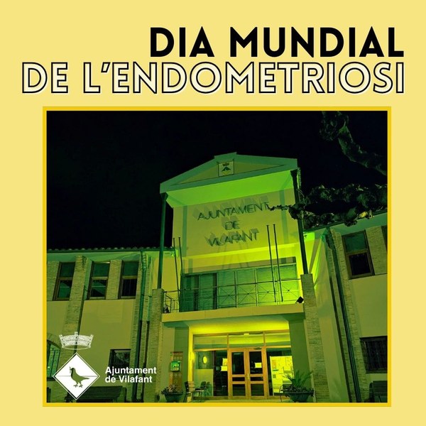 DIA MUNDIAL DE L'ENDOMETRIOSI