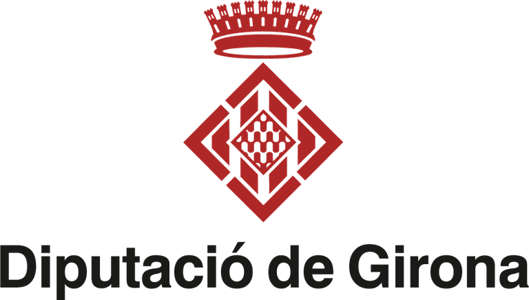 diputacio girona logo.png