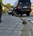 En marxa diversos treballs per a la neteja de plantes adventícies (Males Herbes)