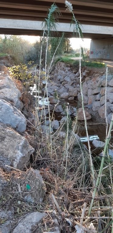 escullera riera d'en serra nov 2018.jpg
