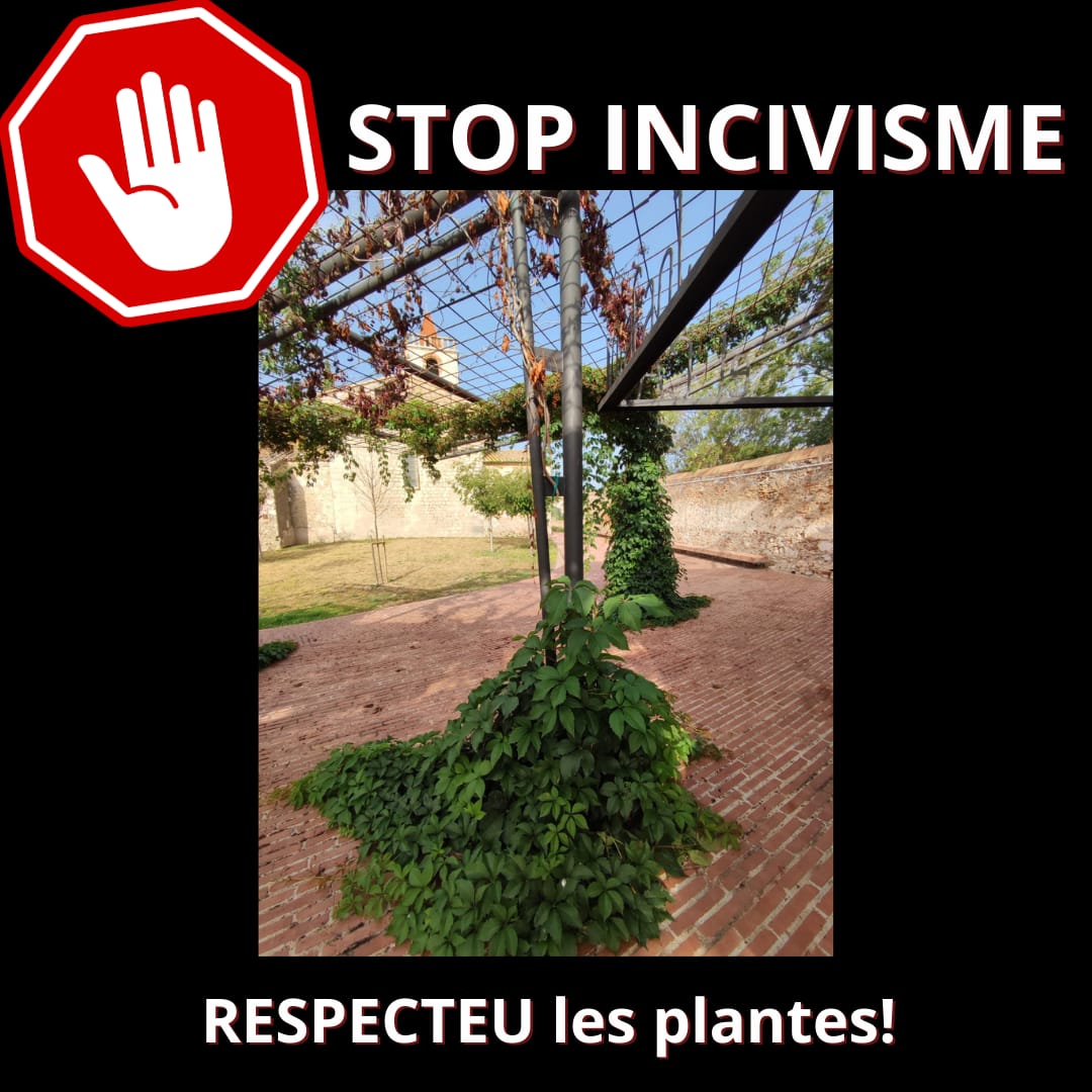 incivisme malbé plantes IMG-20230714-WA0008.jpg
