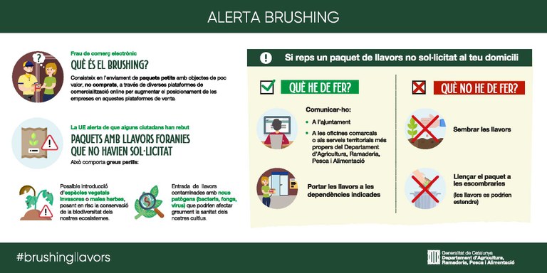Infografia_Brushing.jpg