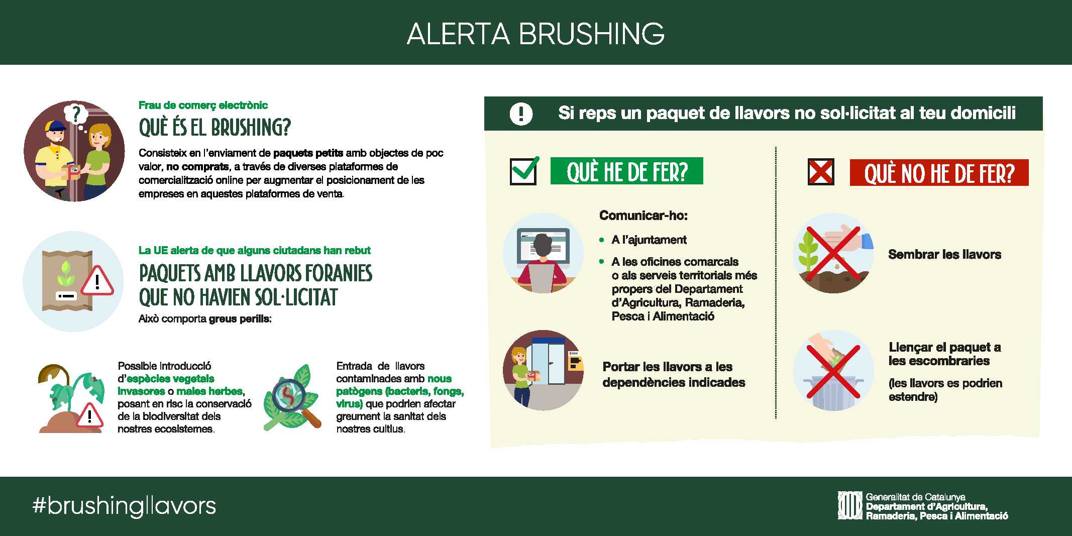 Infografia_Brushing.jpg