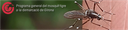 Mesures de prevenció vs. Mosquit Tigre