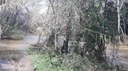 Neteja del Manol després del temporal Glòria