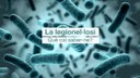 Legionel·losi, la "malaltia de Pontiac o del legionari"