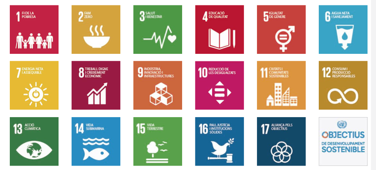 objectius desenvolupament sostenible i salut.jpg