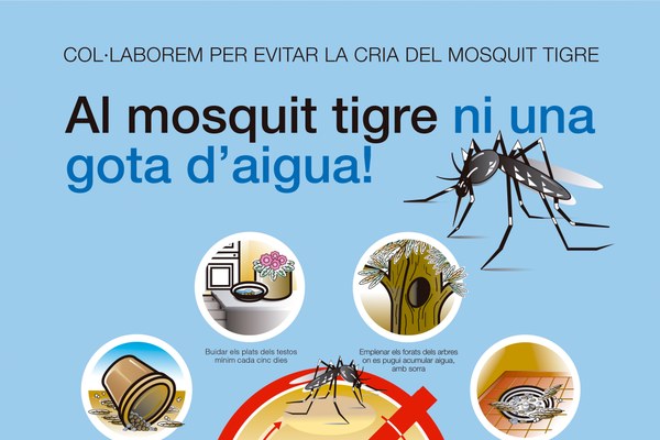 Continua la lluita contra la plaga del mosquit tigre estiu 2026