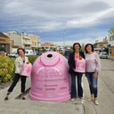 Recicleu el vidre en el contenidor rosa i contribuireu a la lluita contra el càncer de mama!