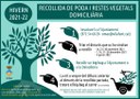 Recollida domiciliària de poda 2021