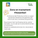 Segon tractament fitosantiari als plataners