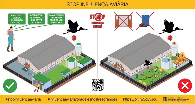 thumbnail_stop influencia aviaria (Copiar).jpg