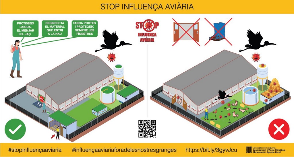 thumbnail_stop influencia aviaria (Copiar).jpg