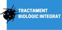 Tractament biològic i natural contra el pugó dels arbres de Vilafant