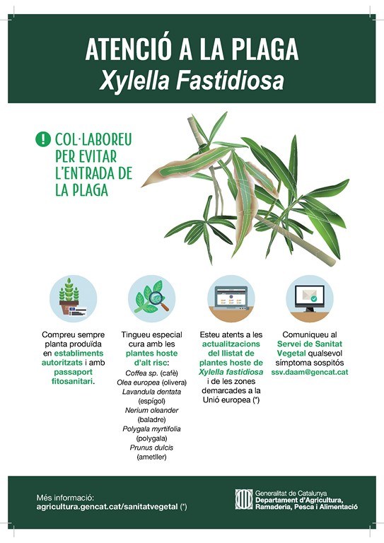 xylella-fastidiosa_poster-atencio-plaga2-PUB.jpg