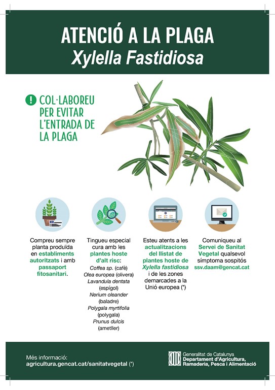 xylella-fastidiosa_poster-atencio-plaga2-PUB.jpg