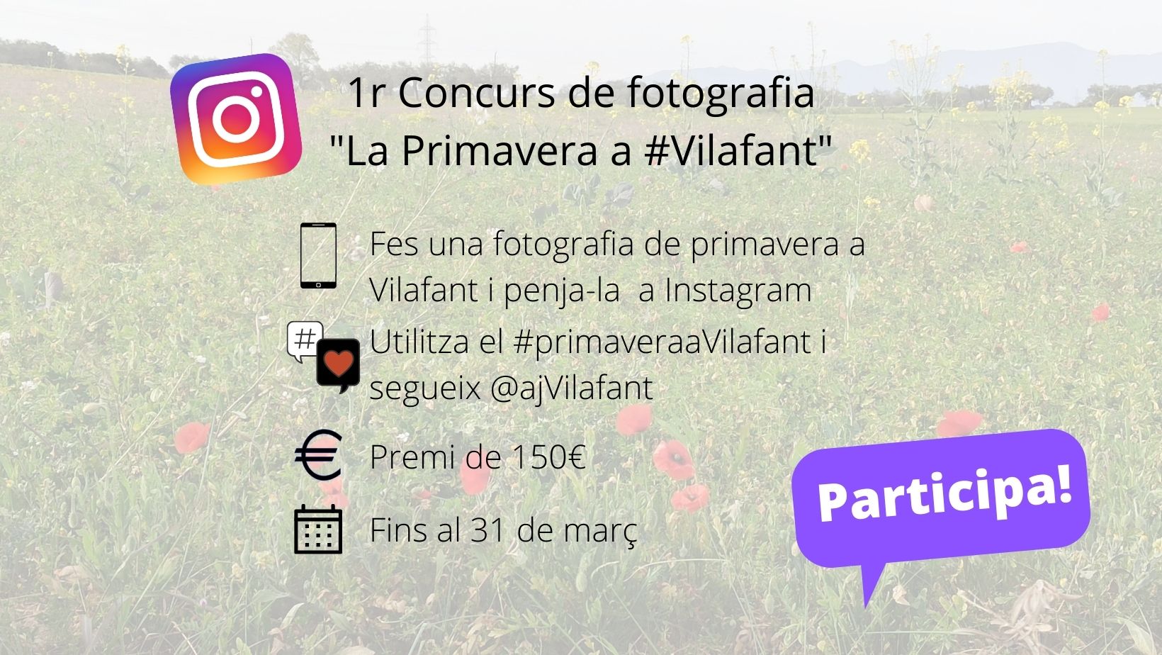 tw concurs fotografia fira conill.jpg