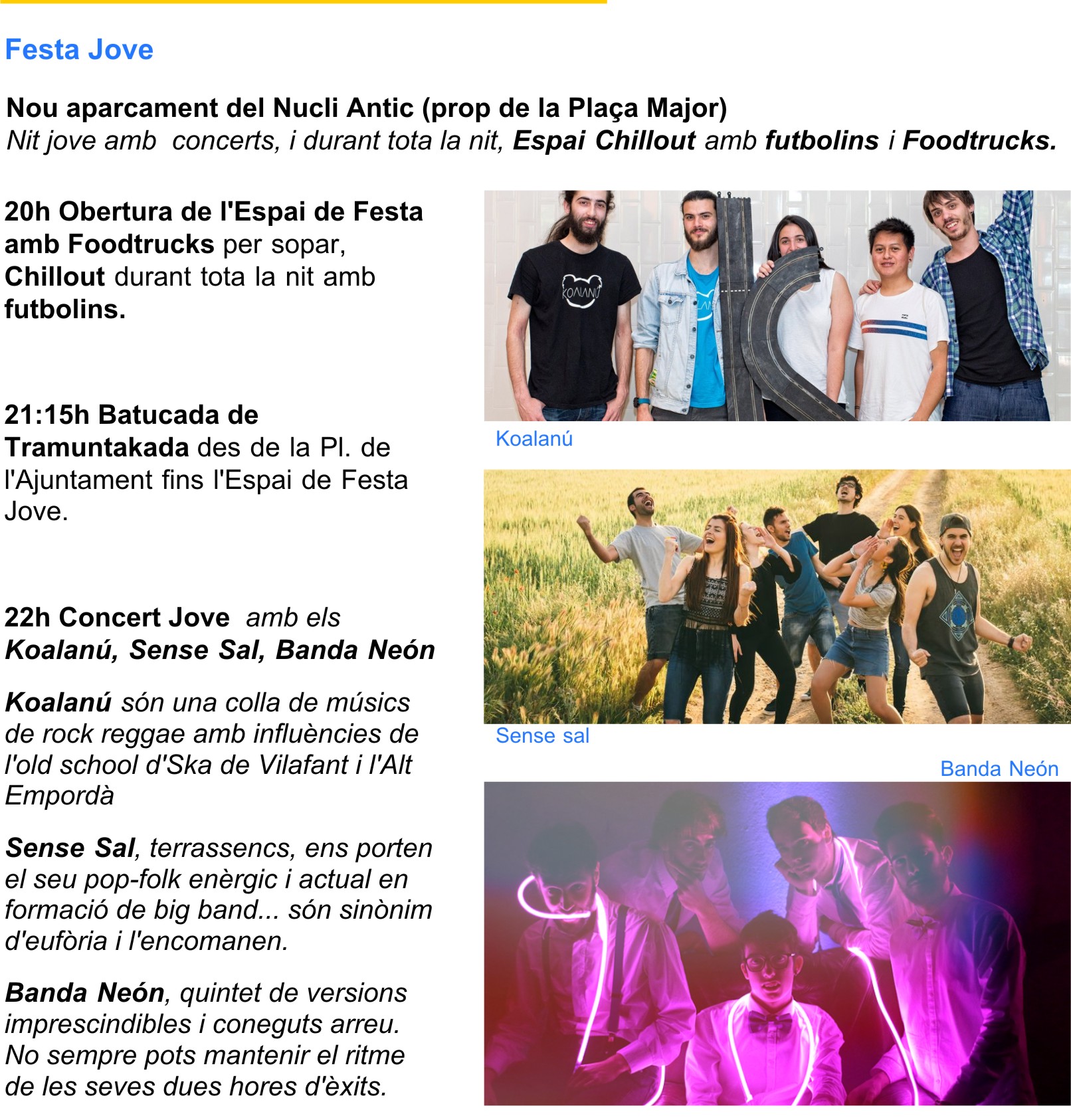 llibret_festa_jove_set_2019.jpg
