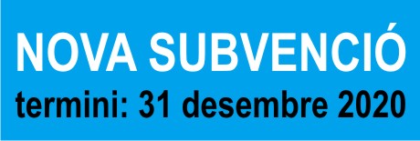anunci subv 31 des 20.jpg