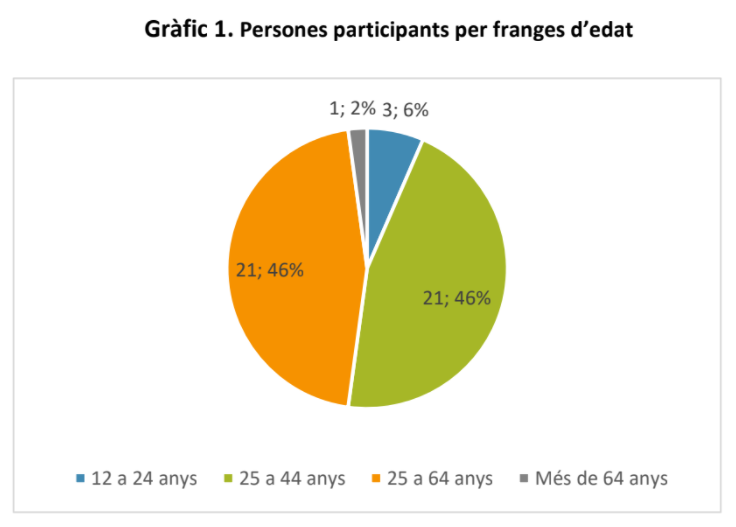 gràfic 1. Resultats qüestionari.png