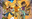 quina revetllat.png