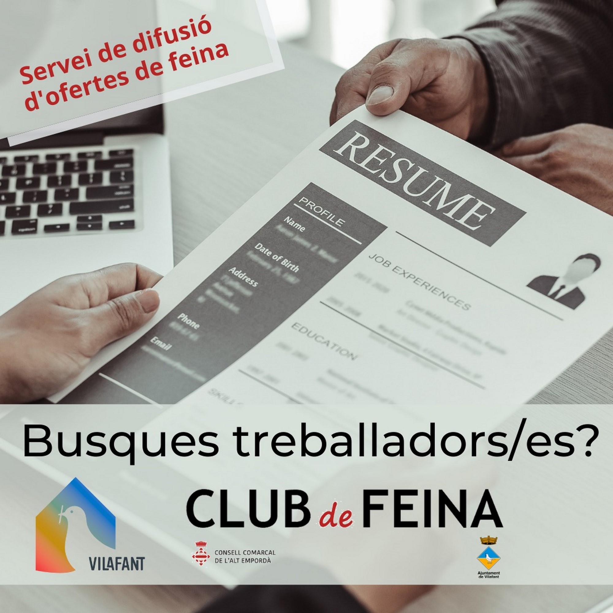 imatge formació-PUB.jpeg