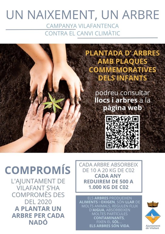 plantada arbres.jpeg