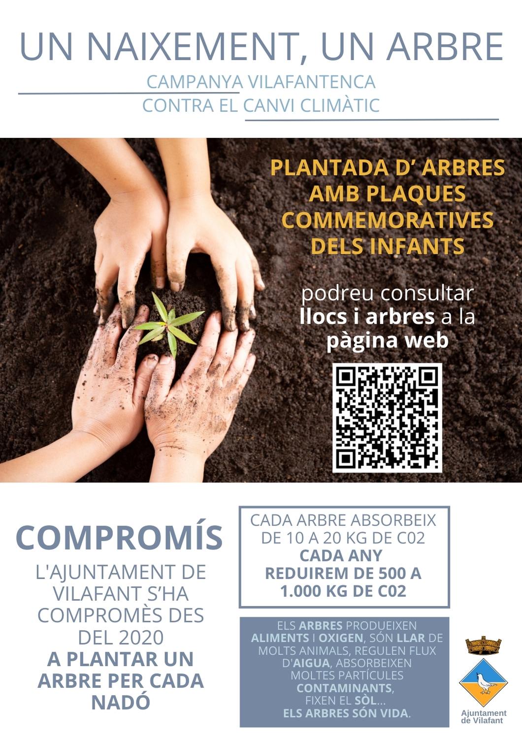 plantada arbres.jpeg